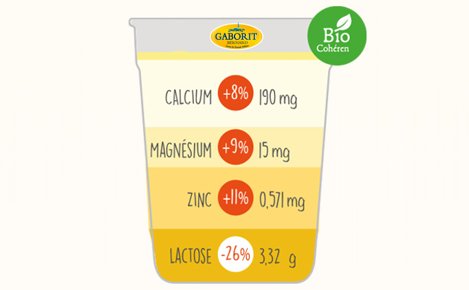 Minéraux et vitamines dans le yaourt