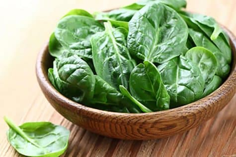 Salade bio pousses et fromage de brebis