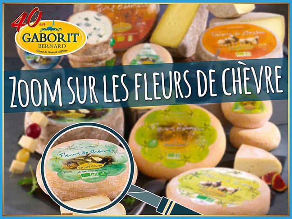 Tout savoir sur la Fleurs de chèvre