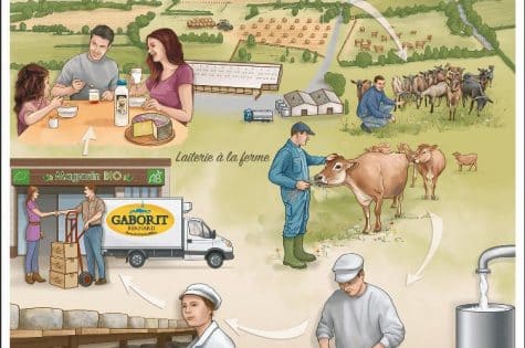 Schéma Ferme et laiterie bio