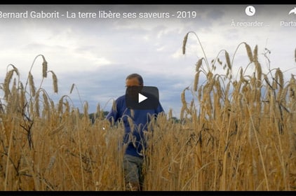 Vidéo Ferme et laiterie bio