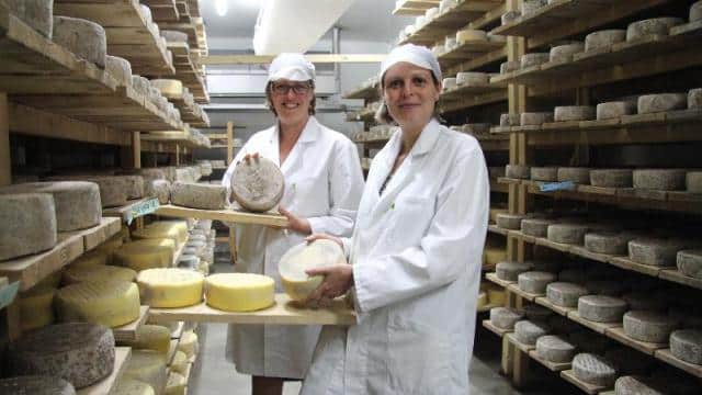 Tout un Fromage - Maulévrier