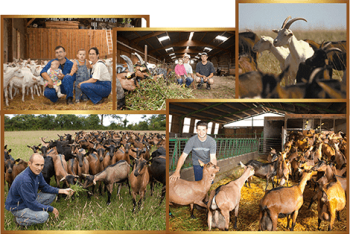 producteurs partenaires chèvre
