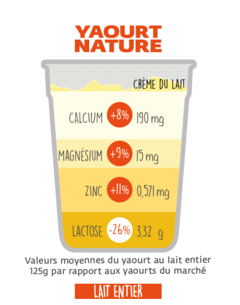 Bienfaits du yaourt bio